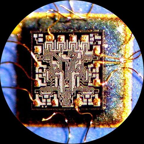 AmScope SM-6TZ-54S-M Digital Professional Trinocular Stereo Zoom Microscope, WH10x Eyepieces, 3.5X-90X Magnification, 0.7X-4.5X Zoom Objective, 54-Bulb LED Light, Clamping Articulating Arm Stand, 110V-240V, Includes 0.5X and 2.0X Barlow Lenses and 1.3MP C in Saudi Arabia