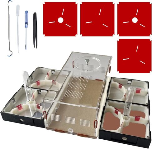 Ant Farm Nest Science DIY Terrarium Kit Care for Live Ants Ant Habitat with Water Tower Nurturing Room and Comprehensive Observation-Set 5 in Saudi Arabia