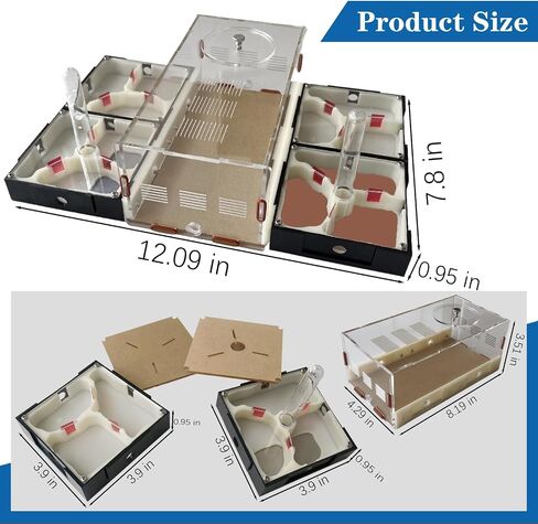 Ant Farm Nest Science DIY Terrarium Kit Care for Live Ants Ant Habitat with Water Tower Nurturing Room and Comprehensive Observation-Set 5 in Saudi Arabia