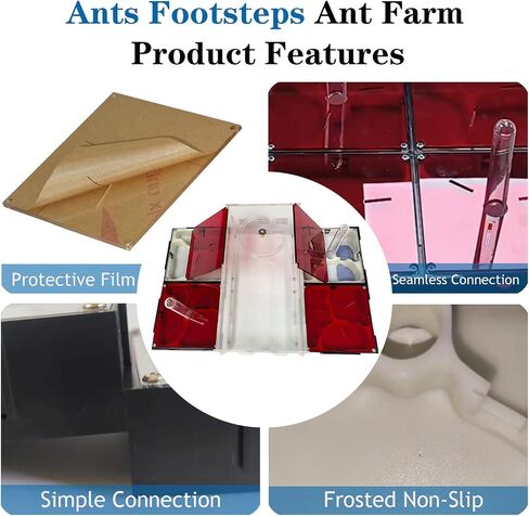 Ant Farm Nest Science DIY Terrarium Kit Care for Live Ants Ant Habitat with Water Tower Nurturing Room and Comprehensive Observation-Set 5 in Saudi Arabia