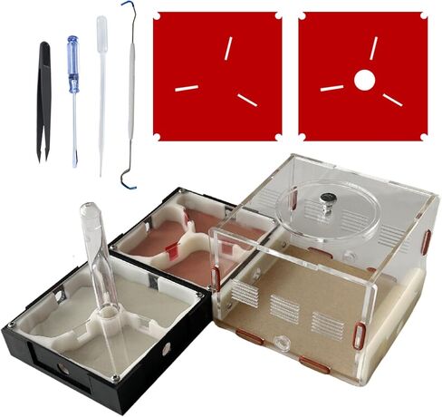 Ant Farm Nest Science DIY Terrarium Kit Care for Live Ants Ant Habitat with Water Tower Nurturing Room and Comprehensive Observation-Set 5 in Saudi Arabia