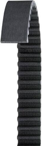 Dayco 255L100 Synchro-Cog Timing Belt in Saudi Arabia