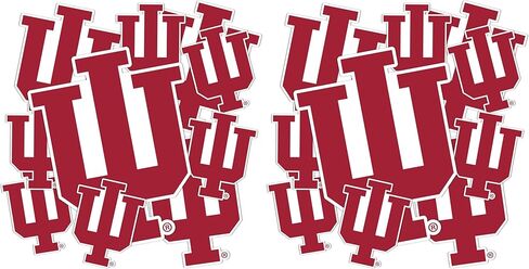 Desert Cactus Indiana University Hoosiers Bloomington Stickers Vinyl Decals Laptop Water Bottle Car Scrapbook T3 (Type 3-1) in Kuwait