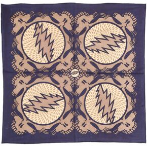 Sunshine Joy Grateful Dead Spin Yr Face SYF Bandana 22x22 Inches Tan