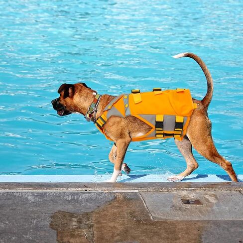 سترة نجاة للكلاب من bonaweite، سترة نجاة عالية الوضوح للكلاب، منقذة للحياة للكلاب، حافظة حياة الجرو مع تعويم عالي لركوب القوارب السباحة، ملابس سباحة خفيفة الوزن لحياة الحيوانات الأليفة للكلاب الصغيرة والمتوسطة والكبيرة in Kuwait
