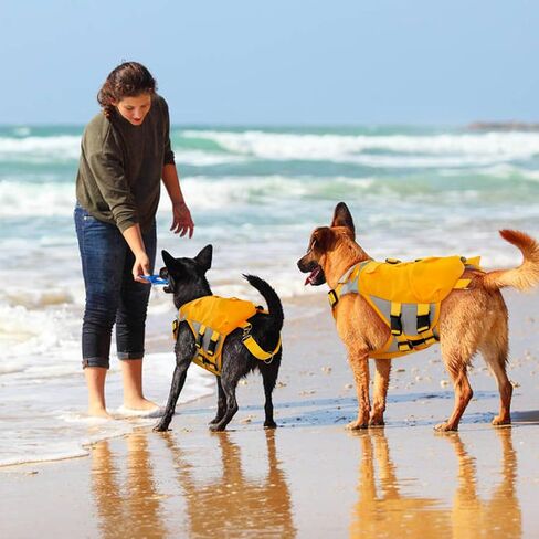 سترة نجاة للكلاب من bonaweite، سترة نجاة عالية الوضوح للكلاب، منقذة للحياة للكلاب، حافظة حياة الجرو مع تعويم عالي لركوب القوارب السباحة، ملابس سباحة خفيفة الوزن لحياة الحيوانات الأليفة للكلاب الصغيرة والمتوسطة والكبيرة in Kuwait