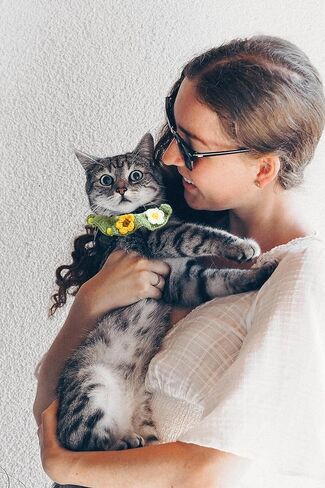 طوق لافيفيناك للقطط، طوق محبوك يدويًا للقطط مع فراشة زهرة للفتيات والقطط والكلاب المتوسطة وحفلات عيد الميلاد (M) in Kuwait