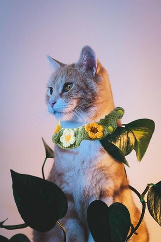 طوق لافيفيناك للقطط، طوق محبوك يدويًا للقطط مع فراشة زهرة للفتيات والقطط والكلاب المتوسطة وحفلات عيد الميلاد (M) in Kuwait