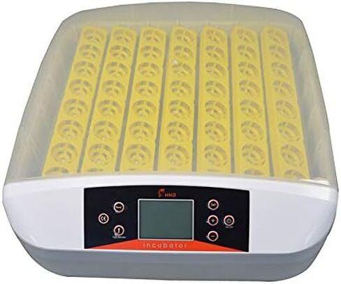 حاضنة بيض INTSUPERMAI بقدرة 110 فولت و56 بيضة، ولاعة بيض رقمية بإضاءة LED ذاتية الدوران لتفريخ بيض الدجاج والبط والسمان المخصب in Kuwait