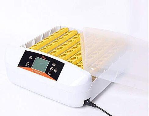 حاضنة بيض INTSUPERMAI بقدرة 110 فولت و56 بيضة، ولاعة بيض رقمية بإضاءة LED ذاتية الدوران لتفريخ بيض الدجاج والبط والسمان المخصب in Kuwait