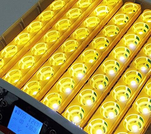 حاضنة بيض INTSUPERMAI بقدرة 110 فولت و56 بيضة، ولاعة بيض رقمية بإضاءة LED ذاتية الدوران لتفريخ بيض الدجاج والبط والسمان المخصب in Kuwait