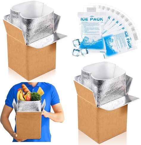 Honoson 2 Pcs Thermal Insulated Shipping Boxes for Frozen Food with Ice Pack and Aluminum Foil Liner for Shipping Big Cold Pack Cooler Mailing Boxes for Moving Hot Frozen Food (6'' X 5'' X 6.5'') in Saudi Arabia