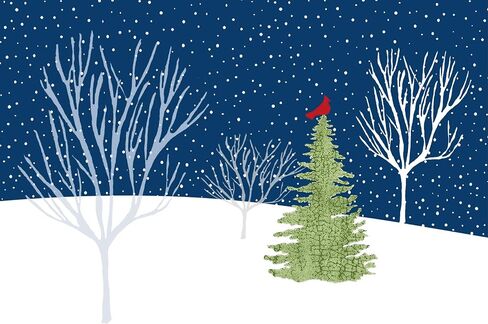 Midnight Cardinal Deluxed Boxed Holiday Cards (Christmas/ Holiday/Greeting Cards) in Saudi Arabia