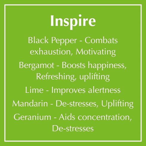 Aromaworks Inspire Reed Diffuser - مزيج متجدد من الزيوت العطرية - يخلق مزاجًا مهدئًا - جوًا معززًا - يوفر إحساسًا بالرفاهية والسعادة - ناشرون القصب - 6.76 أونصة in Saudi Arabia