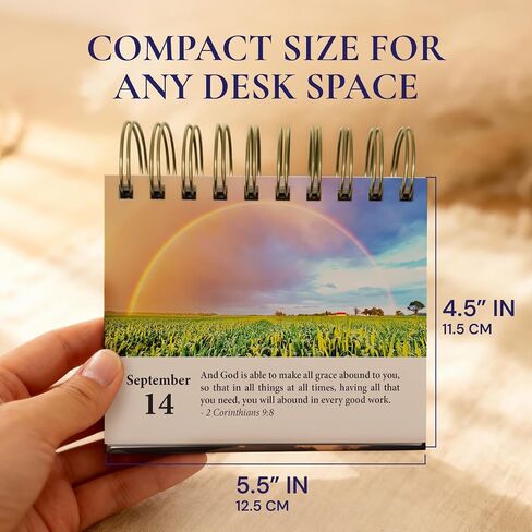 365 Bible Verses Daily Flip Desk Calendar - Undated Reusable Perpetual Flip Verses Christian Inspirational Gift for Men & Religious Gifts for Women (Bible Verses NIV) in Saudi Arabia