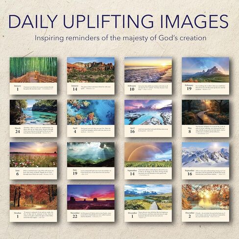 365 Bible Verses Daily Flip Desk Calendar - Undated Reusable Perpetual Flip Verses Christian Inspirational Gift for Men & Religious Gifts for Women (Bible Verses NIV) in Saudi Arabia