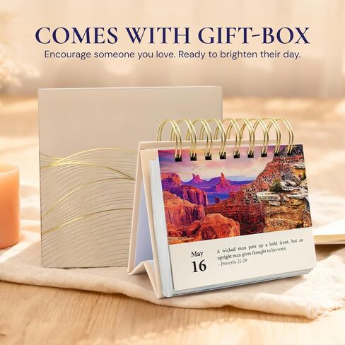 365 Bible Verses Daily Flip Desk Calendar - Undated Reusable Perpetual Flip Verses Christian Inspirational Gift for Men & Religious Gifts for Women (Bible Verses NIV) in Saudi Arabia