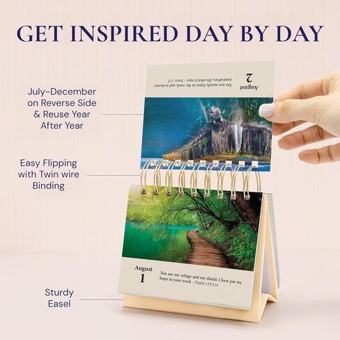 365 Bible Verses Daily Flip Desk Calendar - Undated Reusable Perpetual Flip Verses Christian Inspirational Gift for Men & Religious Gifts for Women (Bible Verses NIV) in Saudi Arabia