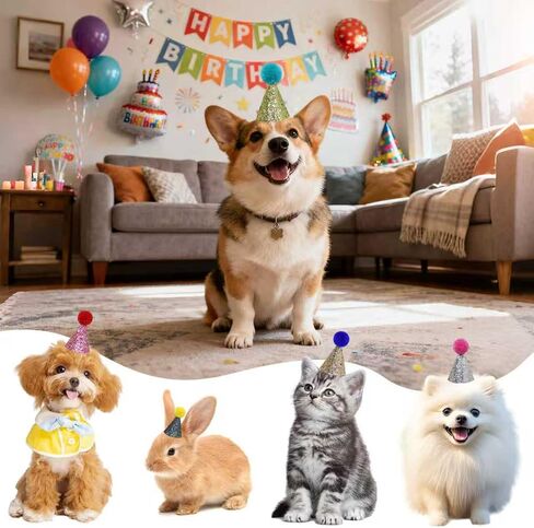 6 Pcs Colorful Mini Party Hats for Stuffed Animals, Birthday Party Felt Cone Hat for Cat Dolls Dog Rabbit Puppies Birthday Party Decorations in Saudi Arabia