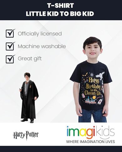 Harry Potter Birthday Vintage Wash T-Shirt Little Kid to Big in Saudi Arabia
