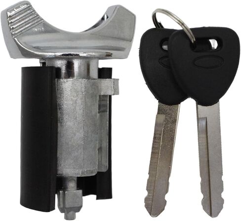 أسطوانة قفل مفتاح الإشعال 924730 متوافقة مع Ford 1992-1996 F150 F250 F350 E150 E250 E350 Lincoln 1993-1998 Mercury 1990-1995 يستبدل US176LT C42150 F1AZ11582A in Kuwait