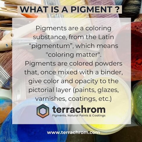 أصباغ التربة المعدنية الطبيعية، للدهانات الفنية والزخرفية، والأسمنت، والراتنج، والورنيش، والملاط - صبغ على شكل مسحوق | صديقة للبيئة ومن مصادر مستدامة (Dark Umber Ardennes، 1 كجم) in Kuwait