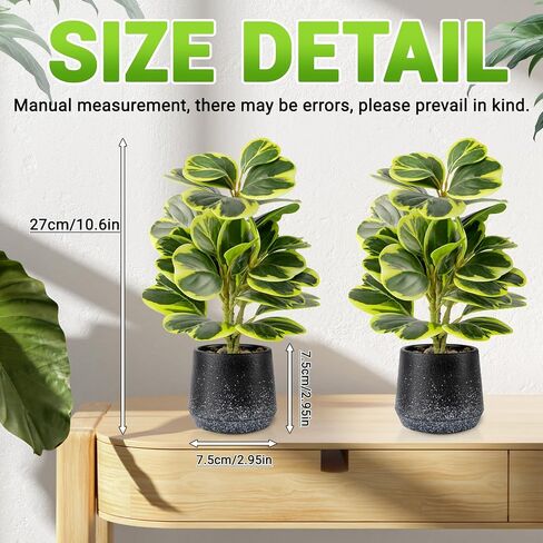 2 حزمة من النباتات الاصطناعية بوعاء واقعية Peperomia Obtusifolia، 11 بوصة خضراء صناعية صغيرة للمكتب أو الحمام أو المكتب أو ديكور المنزل (دائم الخضرة، صيانة مجانية) in Saudi Arabia