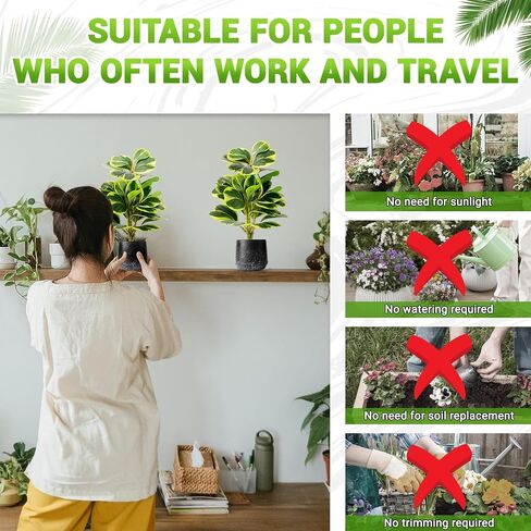 2 حزمة من النباتات الاصطناعية بوعاء واقعية Peperomia Obtusifolia، 11 بوصة خضراء صناعية صغيرة للمكتب أو الحمام أو المكتب أو ديكور المنزل (دائم الخضرة، صيانة مجانية) in Saudi Arabia