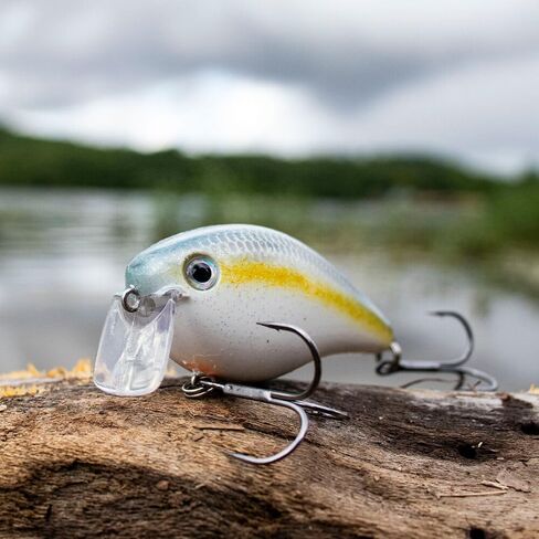 Strike King (HCKVD2.5W-477) KVD 2.5 Wake Bait Fishing Lure, 477 - The Shizzle, 3/8 oz, Unique Clacking Sound in Saudi Arabia