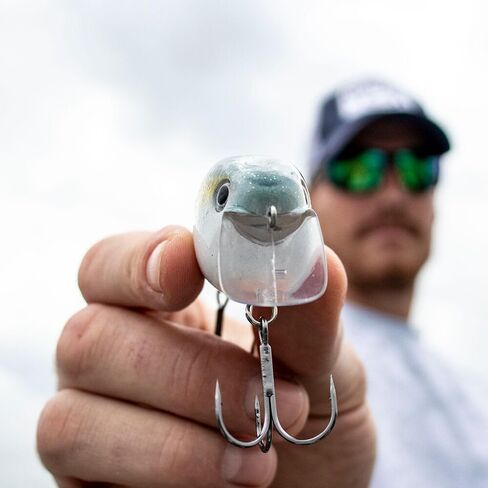 Strike King (HCKVD2.5W-477) KVD 2.5 Wake Bait Fishing Lure, 477 - The Shizzle, 3/8 oz, Unique Clacking Sound in Saudi Arabia