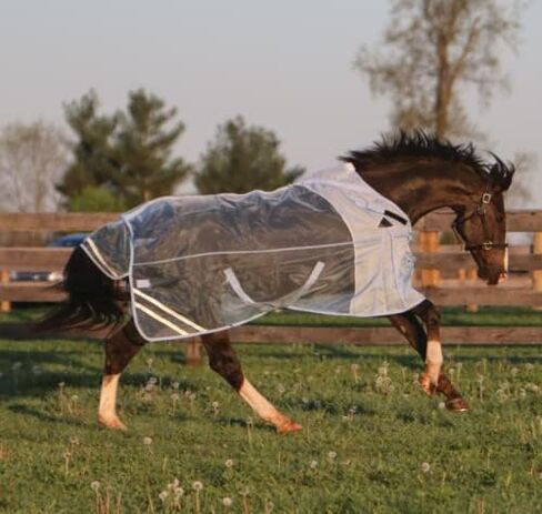 Schneiders Protective Mesh Fly Sheet for Horses - Open Front Surcingle Blanket - 60% UV Protection - Durable and Comfortable Material (80 inches) in Saudi Arabia