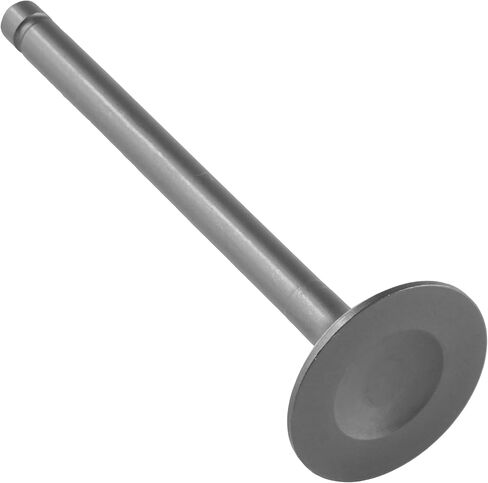 Caltric Exhaust Valve Compatible with Kawasaki Bayou 300 Klf300B 1988-2004/12005-1005 in Saudi Arabia