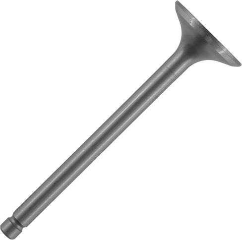 Caltric Exhaust Valve Compatible with Kawasaki Bayou 300 Klf300B 1988-2004/12005-1005 in Saudi Arabia
