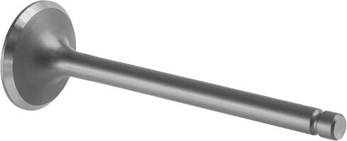 Caltric Exhaust Valve Compatible with Kawasaki Bayou 300 Klf300B 1988-2004/12005-1005 in Saudi Arabia
