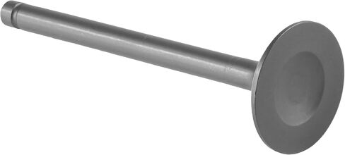 Caltric Exhaust Valve Compatible with Kawasaki Bayou 300 Klf300B 1988-2004/12005-1005 in Saudi Arabia