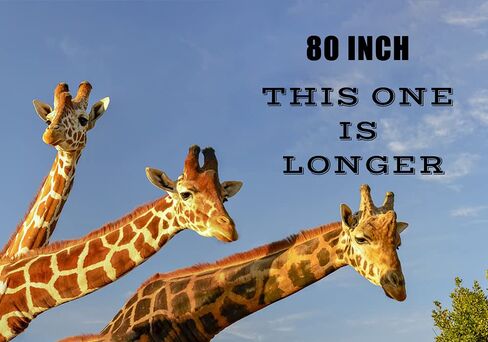 مقياس أرضية الحيوان المحمول من PEC للماشية الصغيرة والمتوسطة الحجم، ميزان حيوانات بوزن 2000 رطل لعجل المزرعة والخنزير والماعز والأغنام، يتضمن حصيرة مطاطية، منصة 50 بوصة × 25 بوصة in Kuwait