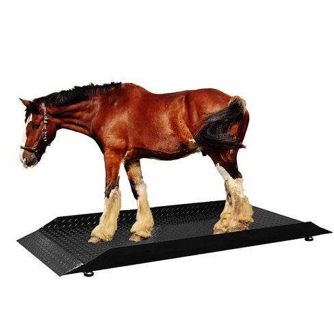 مقياس أرضية الحيوان المحمول من PEC للماشية الصغيرة والمتوسطة الحجم، ميزان حيوانات بوزن 2000 رطل لعجل المزرعة والخنزير والماعز والأغنام، يتضمن حصيرة مطاطية، منصة 50 بوصة × 25 بوصة in Kuwait