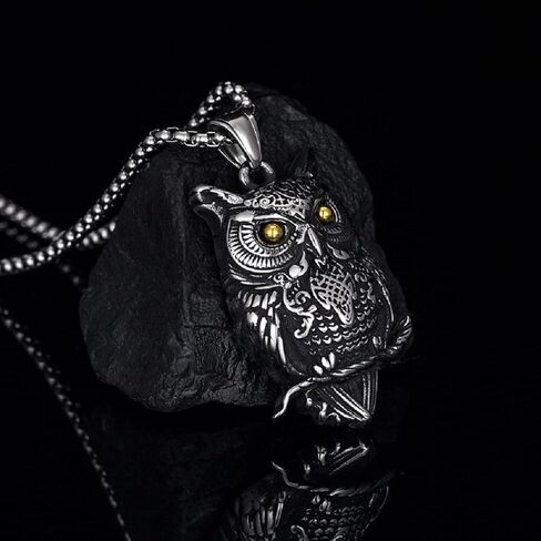 قلادة على شكل بومة للرجال، قلادة على شكل فروع البومة والبانك روك وبومة الطيور، قلادة بدلاية على شكل رأس بومة فايكنغ، قلادة للرجال بتصميم الهيب هوب على شكل بومة، مجوهرات هدية عيد الاب, ستانلس ستيل, لا in Kuwait