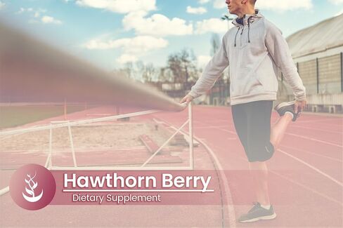 PURE ORIGINAL INGREDIENTS Hawthorn Berry, (100 Capsules) Always Pure, No Additives Or Fillers, Lab Verified in Saudi Arabia