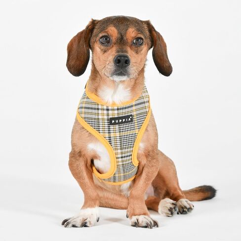 Puppia Theros Dog Harness A (Over-The-Head) Fashionable Striped Pattern Spring Summer Harness for Small and Medium Dogs, Aqua, Small in Saudi Arabia