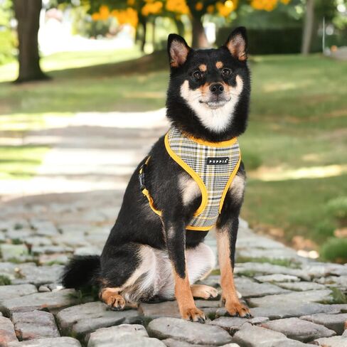 Puppia Theros Dog Harness A (Over-The-Head) Fashionable Striped Pattern Spring Summer Harness for Small and Medium Dogs, Aqua, Small in Saudi Arabia