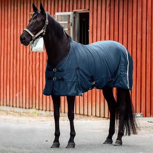 HORZE Montauk Equestrian Horse Halter with Adjustable Crownpiece and Noseband in Saudi Arabia