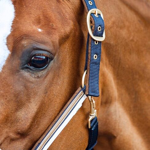 HORZE Montauk Equestrian Horse Halter with Adjustable Crownpiece and Noseband in Saudi Arabia