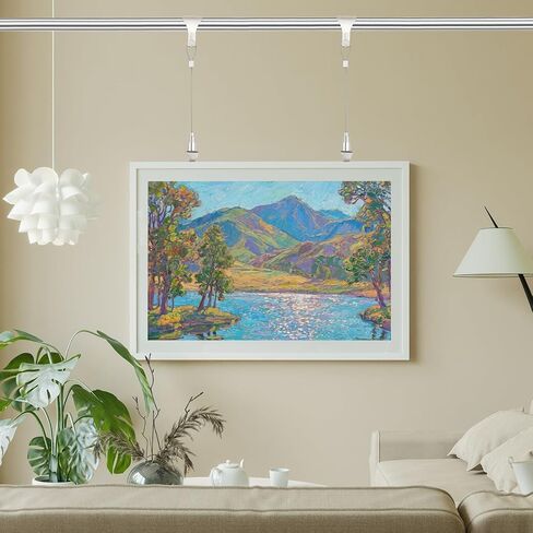 uxcell 2Pcs Picture Hanging Wire Kit, 2.5 m x 1.5 mm Heavy Duty Picture Hangers Adjustable Wire Rope with S-Hooks and Loop, Load 35kg/77.1 lbs for Hanging Mirrors Light Lamp Artwork in Saudi Arabia