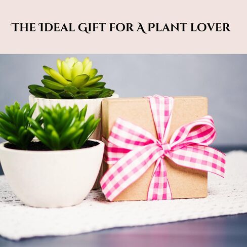 Adorable Crochet Monstera Plant for Car Rearview Mirror - Cute Handmade Hanging Boho Decoration Accessories for Rear View Mirror - Ornament Gift for Plant Lovers (Monstera (1 Pack)) in Kuwait