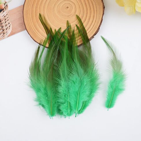 100pcs Grass Green Feathers for Crafts, 5-7Inch Rooster Saddle Hackle Feathers for Dream Catcher Supplies Wedding Home Party Decoration Earrings DIY Crafts in Kuwait