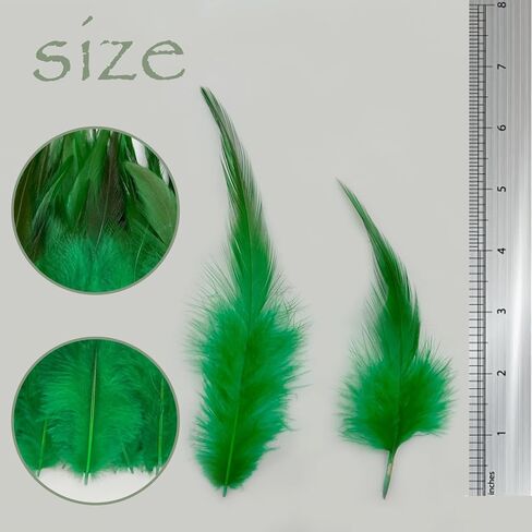 100pcs Grass Green Feathers for Crafts, 5-7Inch Rooster Saddle Hackle Feathers for Dream Catcher Supplies Wedding Home Party Decoration Earrings DIY Crafts in Kuwait
