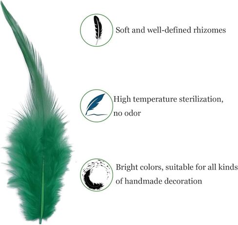 100pcs Grass Green Feathers for Crafts, 5-7Inch Rooster Saddle Hackle Feathers for Dream Catcher Supplies Wedding Home Party Decoration Earrings DIY Crafts in Kuwait