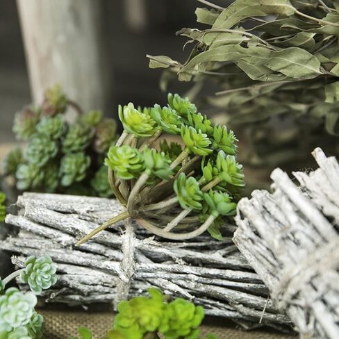 Artificial Flocked Succulents - Creative Fake Plants for DIY Crafting, Home Floral Wall, Garden Arrangement & Office Decor in Saudi Arabia