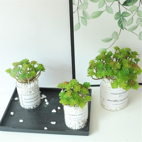 Artificial Flocked Succulents - Creative Fake Plants for DIY Crafting, Home Floral Wall, Garden Arrangement & Office Decor in Saudi Arabia